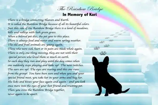 Dog Death quotes Rainbow Bridge